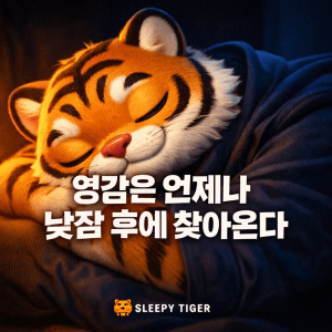 슬리피 타이거 무엇을 다루나